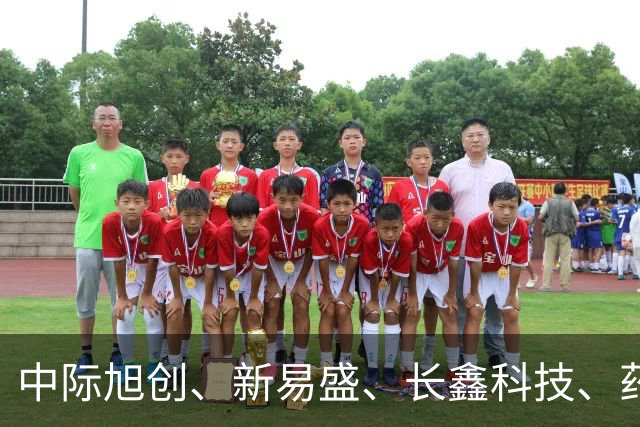 中际旭创、新易盛、长鑫科技、药明康德集体被增持，机构：当前A股不宜过度悲观