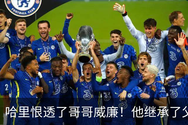 哈里恨透了哥哥威廉！他继承了父亲的王位不说，还继承了母亲的脸