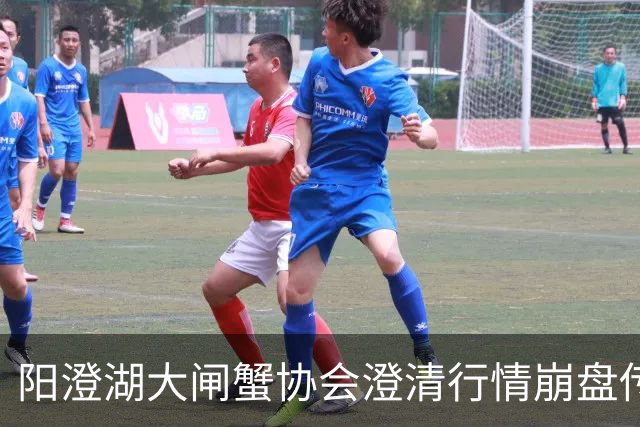 阳澄湖大闸蟹协会澄清行情崩盘传言：正宗阳澄湖大闸蟹供需平稳