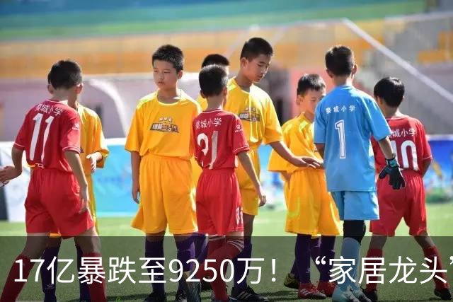 17亿暴跌至9250万！“家居龙头”大佬公开认错了